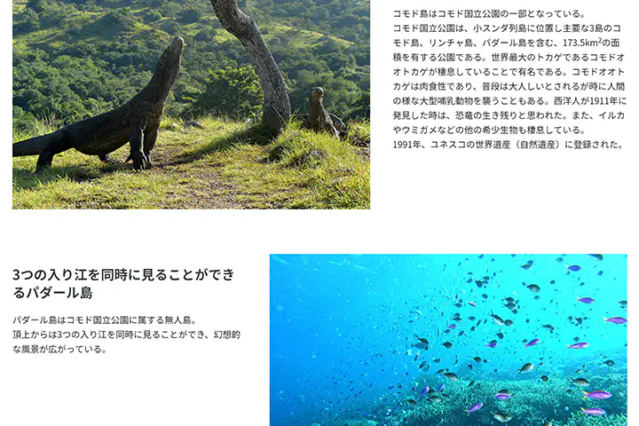 デモを優先したサイトデザイン